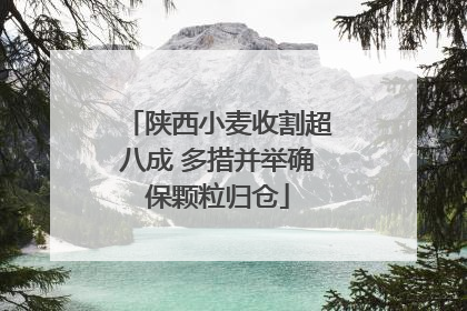 陕西小麦收割超八成 多措并举确保颗粒归仓