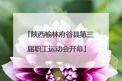 陕西榆林府谷县第三届职工运动会开幕