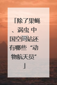 除了果蝇、涡虫 中国空间站还有哪些“动物航天员”