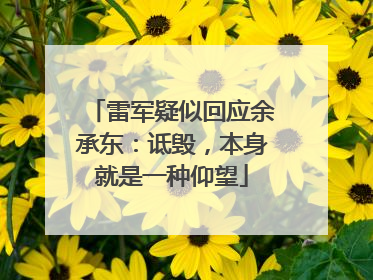 雷军疑似回应余承东：诋毁，本身就是一种仰望