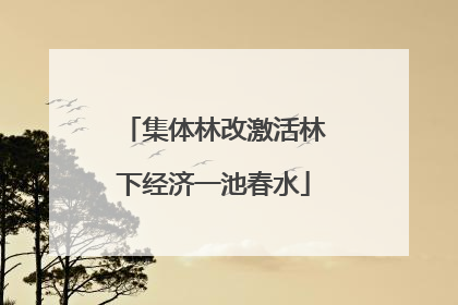 集体林改激活林下经济一池春水