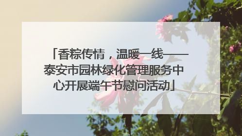香粽传情，温暖一线——泰安市园林绿化管理服务中心开展端午节慰问活动