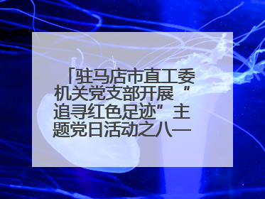 驻马店市直工委机关党支部开展“追寻红色足迹”主题党日活动之八——鏖战独树镇
