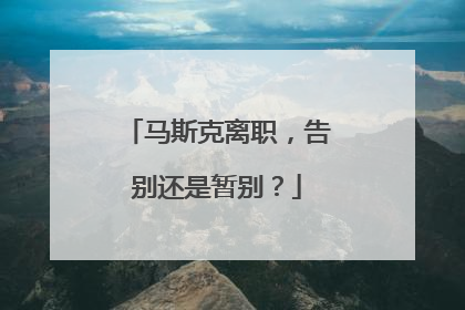 马斯克离职，告别还是暂别？