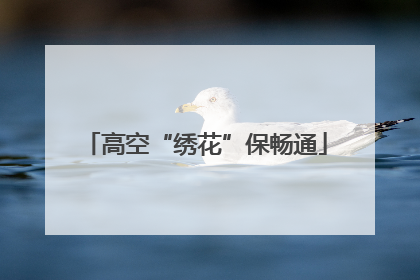 高空“绣花”保畅通