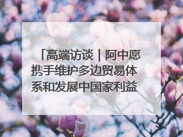 高端访谈｜阿中愿携手维护多边贸易体系和发展中国家利益——访阿拉伯议会议长亚马希