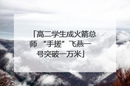 高二学生成火箭总师 “手搓”飞燕一号突破一万米