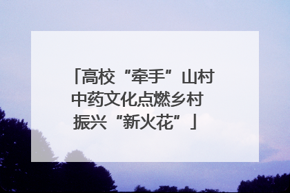 高校“牵手”山村 中药文化点燃乡村振兴“新火花”