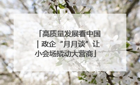 高质量发展看中国｜政企“月月谈”让小会场撬动大营商