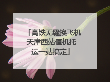 高铁无缝换飞机 天津西站值机托运一站搞定