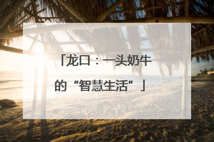 龙口：一头奶牛的“智慧生活”