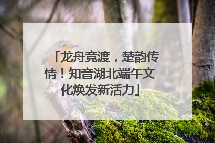 龙舟竞渡，楚韵传情！知音湖北端午文化焕发新活力