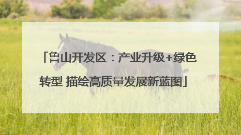 鲁山开发区：产业升级+绿色转型 描绘高质量发展新蓝图