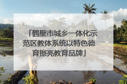 鹤壁市城乡一体化示范区教体系统以特色德育擦亮教育品牌