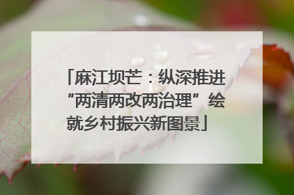 麻江坝芒：纵深推进“两清两改两治理”绘就乡村振兴新图景
