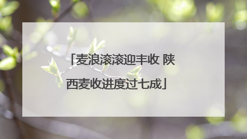 麦浪滚滚迎丰收 陕西麦收进度过七成