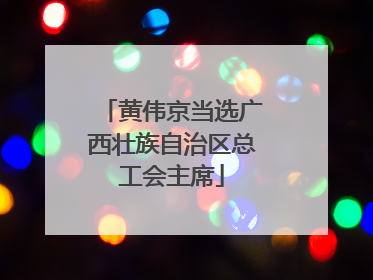 黄伟京当选广西壮族自治区总工会主席
