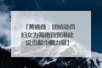 黄晓薇：团结动员妇女为海南自贸港建设贡献巾帼力量