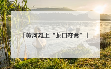黄河滩上“龙口夺食”