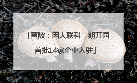 黄陂：因大联科一期开园 首批14家企业入驻