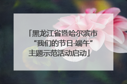 黑龙江省暨哈尔滨市“我们的节日·端午”主题示范活动启动