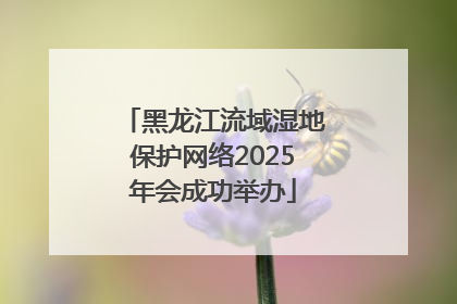 黑龙江流域湿地保护网络2025年会成功举办
