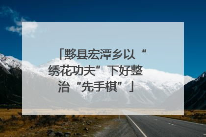 黟县宏潭乡以“绣花功夫”下好整治“先手棋”