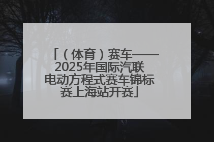 （体育）赛车——2025年国际汽联电动方程式赛车锦标赛上海站开赛