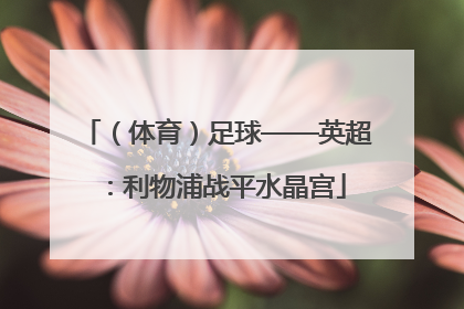 （体育）足球——英超：利物浦战平水晶宫
