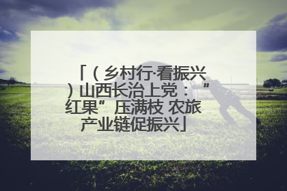 （乡村行·看振兴）山西长治上党：“红果”压满枝 农旅产业链促振兴