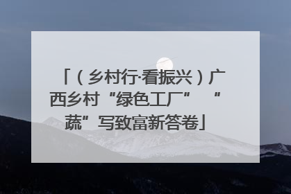 （乡村行·看振兴）广西乡村“绿色工厂” “蔬”写致富新答卷