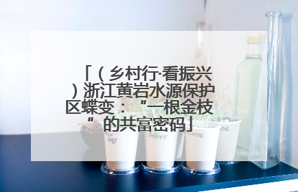 （乡村行·看振兴）浙江黄岩水源保护区蝶变：“一根金枝”的共富密码