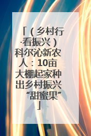 （乡村行·看振兴）科尔沁新农人：10亩大棚起家种出乡村振兴“甜蜜果”