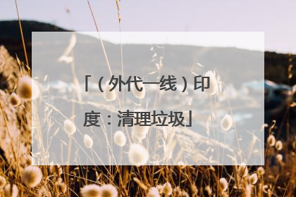 （外代一线）印度：清理垃圾