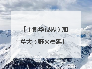 （新华视界）加拿大：野火蔓延