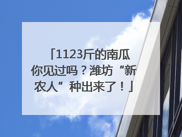 1123斤的南瓜你见过吗？潍坊“新农人”种出来了！