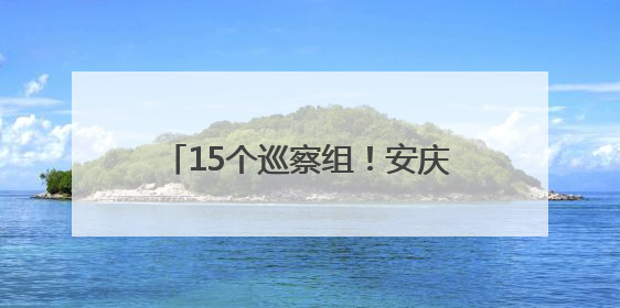 15个巡察组！安庆市发布专项巡察公告