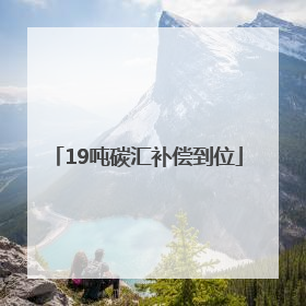 19吨碳汇补偿到位