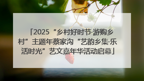 2025“乡村好时节·游购乡村”主题年蔡家沟“艺韵乡集·乐活时光”艺文嘉年华活动启幕