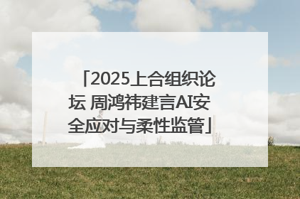 2025上合组织论坛 周鸿祎建言AI安全应对与柔性监管