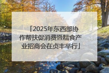 2025年东西部协作帮扶促消费暨糯食产业招商会在贞丰举行