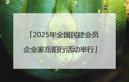 2025年全国民建会员企业家岳阳行活动举行