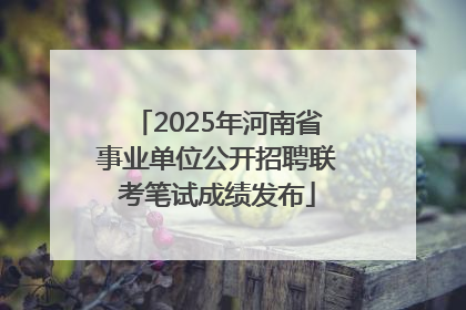 2025年河南省事业单位公开招聘联考笔试成绩发布