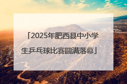 2025年肥西县中小学生乒乓球比赛圆满落幕
