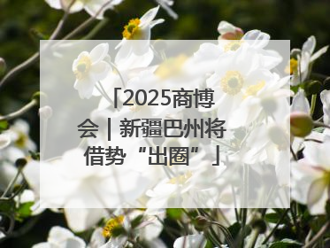 2025商博会｜新疆巴州将借势“出圈”
