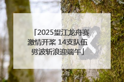 2025望江龙舟赛激情开桨 14支队伍劈波斩浪迎端午