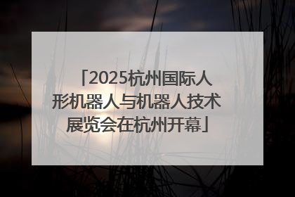 2025杭州国际人形机器人与机器人技术展览会在杭州开幕