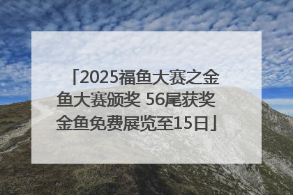 2025福鱼大赛之金鱼大赛颁奖 56尾获奖金鱼免费展览至15日