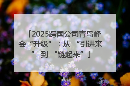 2025跨国公司青岛峰会“升级”：从 “引进来” 到 “链起来”