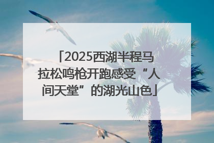 2025西湖半程马拉松鸣枪开跑感受“人间天堂”的湖光山色